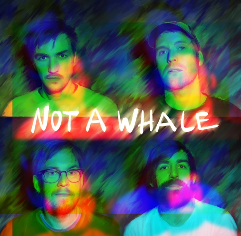 LIVE: Not a whale